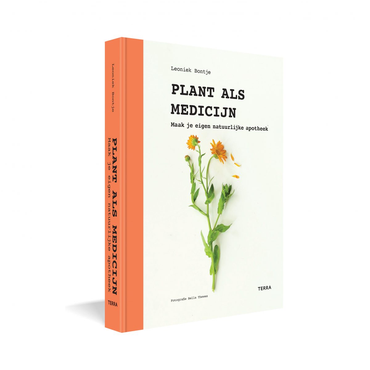 Plant als medicijn