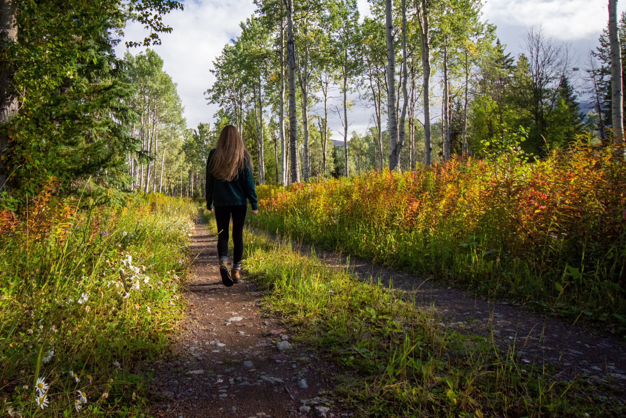 Als je veel wandelt, is het fijn om telkens nieuw routes te ontdekken. Dat kan met de app SNP Routes, met meer dan twintig wandelroutes door heel Nederland.
