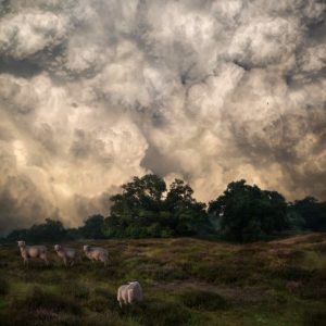 foto-expo Landscapes