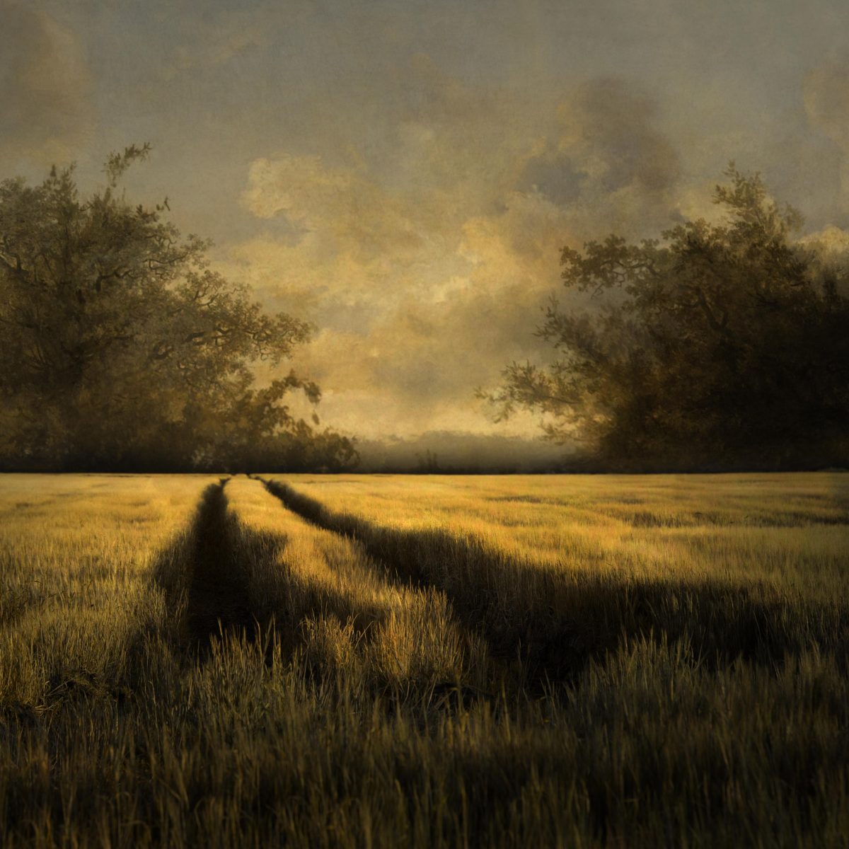Saskia Boelsums