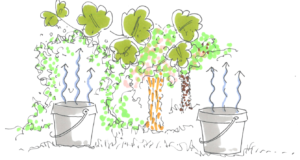 Watermanagement