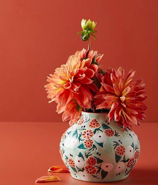 Anthropologie