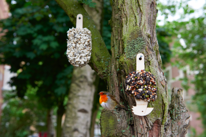 vogels in je tuin