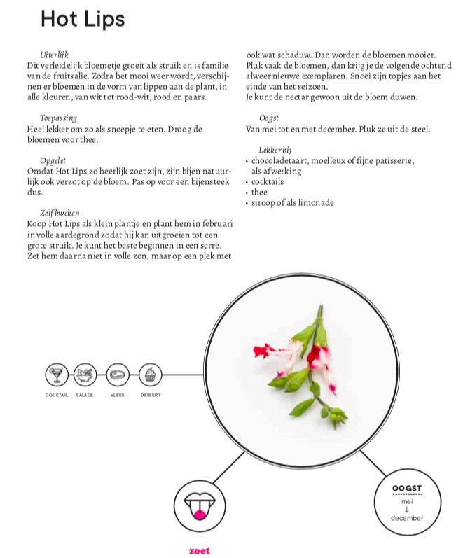panna cotta met hot lips