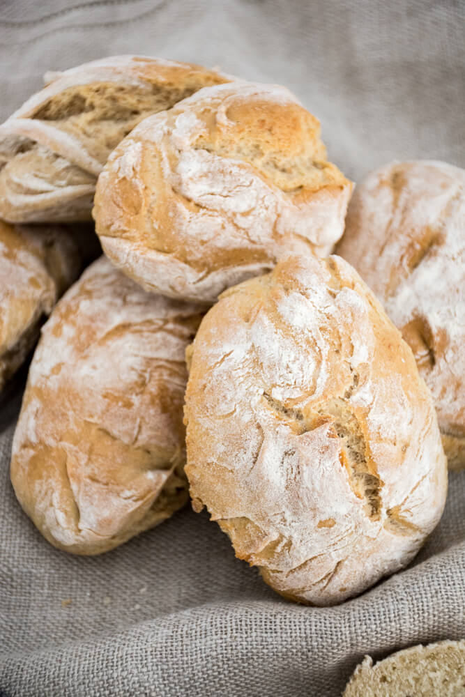 brood