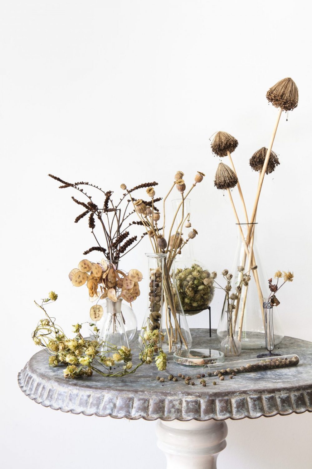 droogbloemen