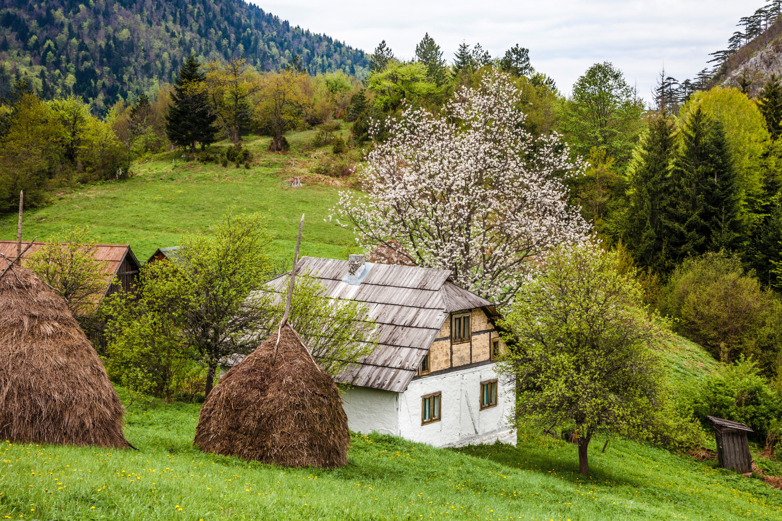 Serbia