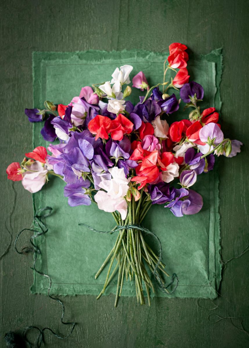Boeketje Lathyrus