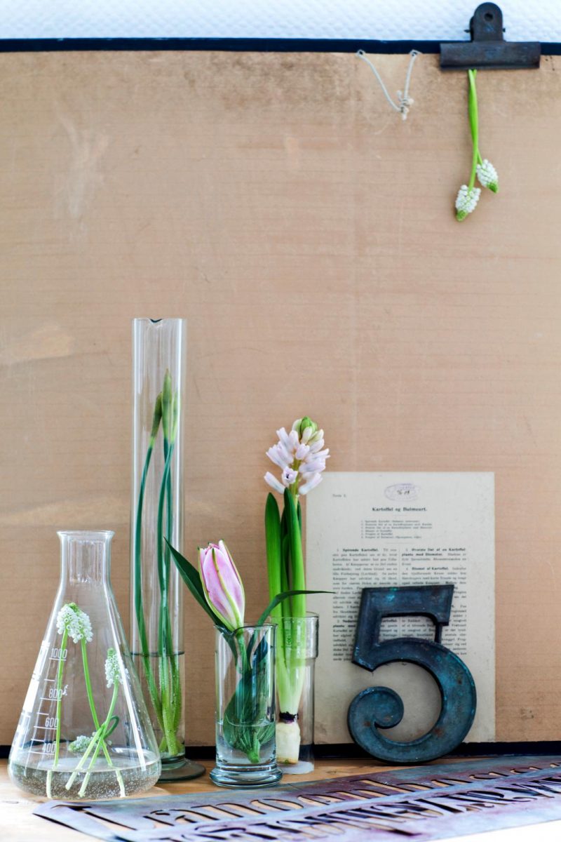 Voorjaarsbloemen