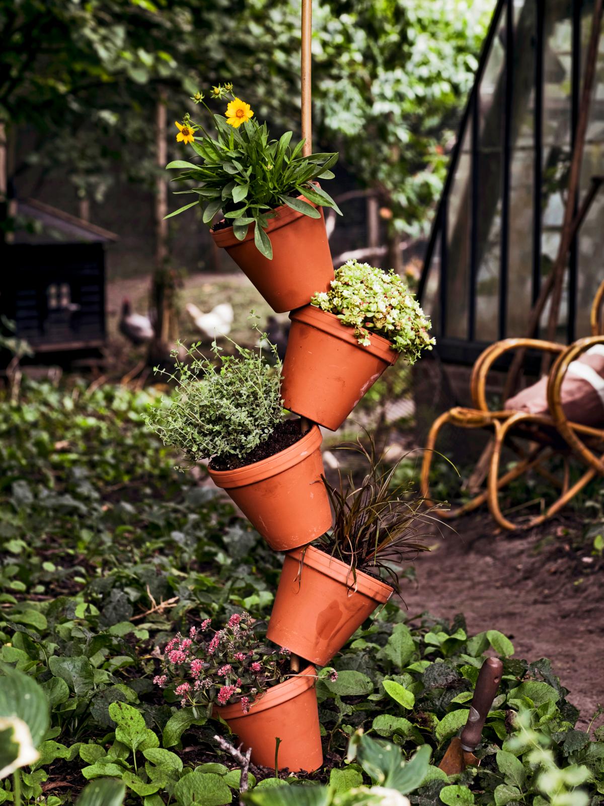 Terracotta