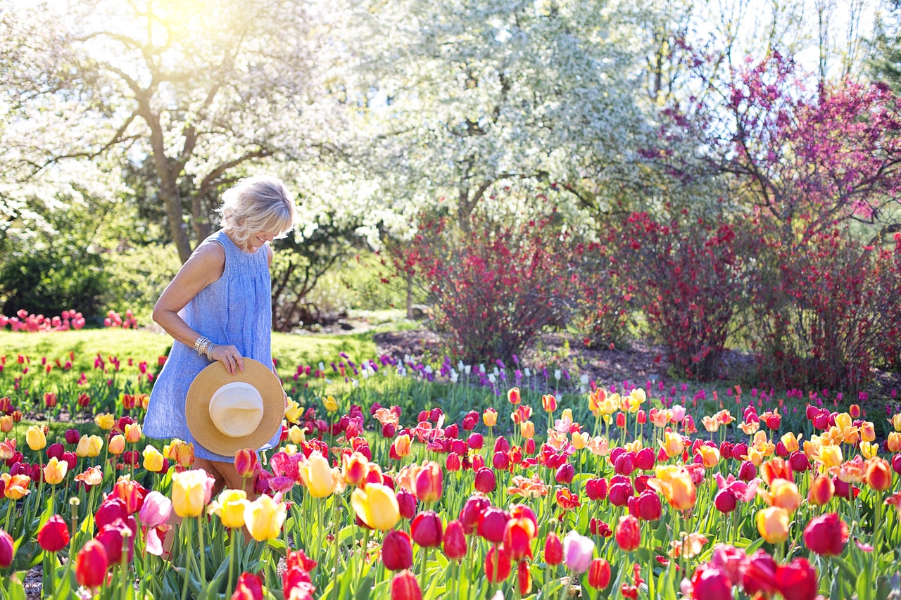 tulpenpluktuin