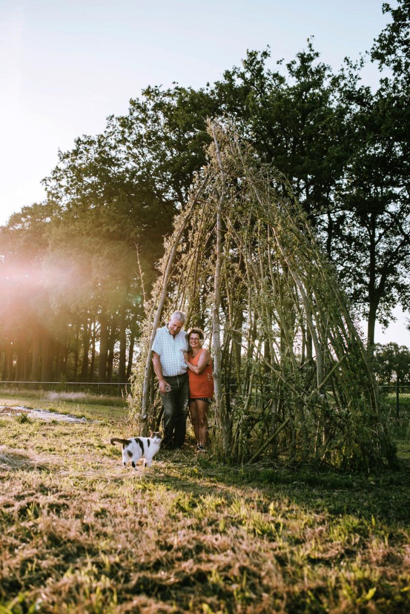 tipi van wilgentenen