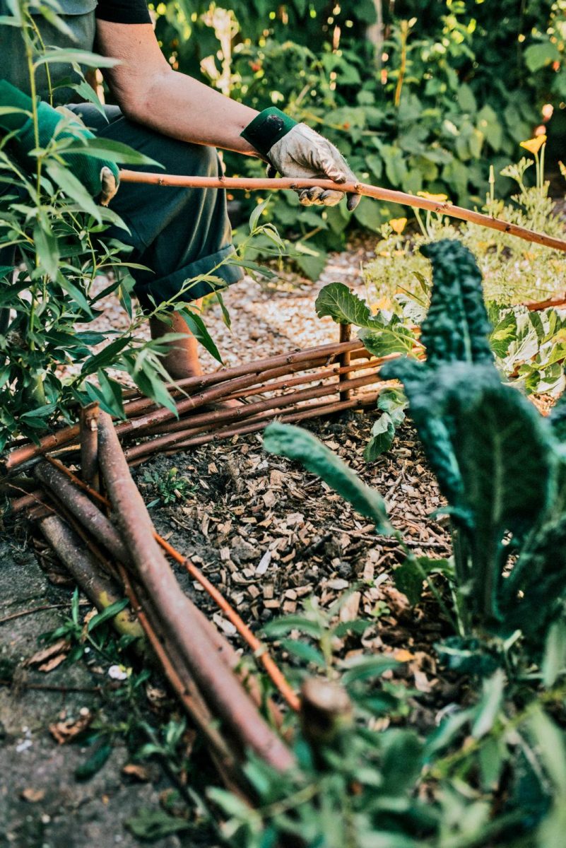 moestuinbak van wilgentenen