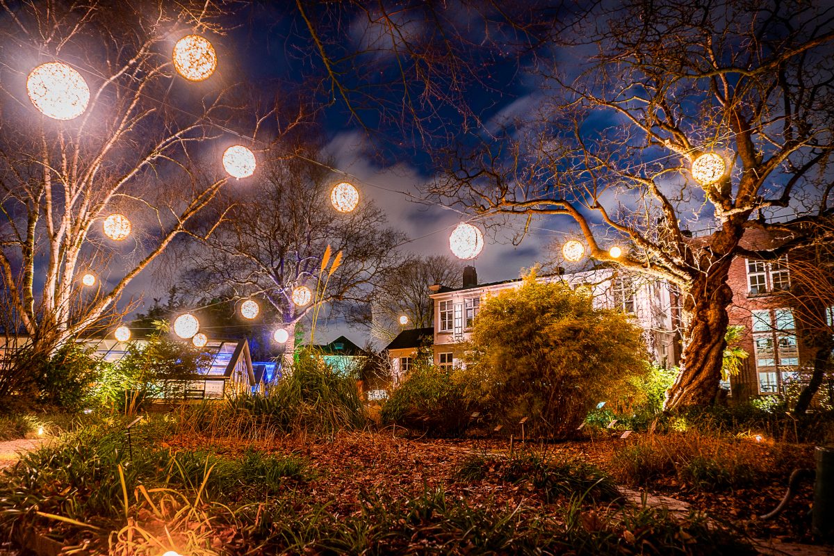 Winter Hortus