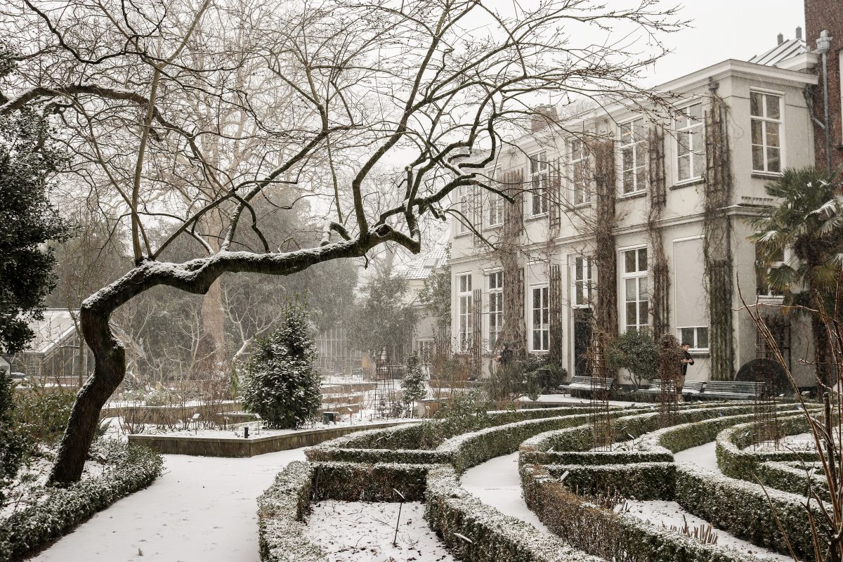 Winter Hortus