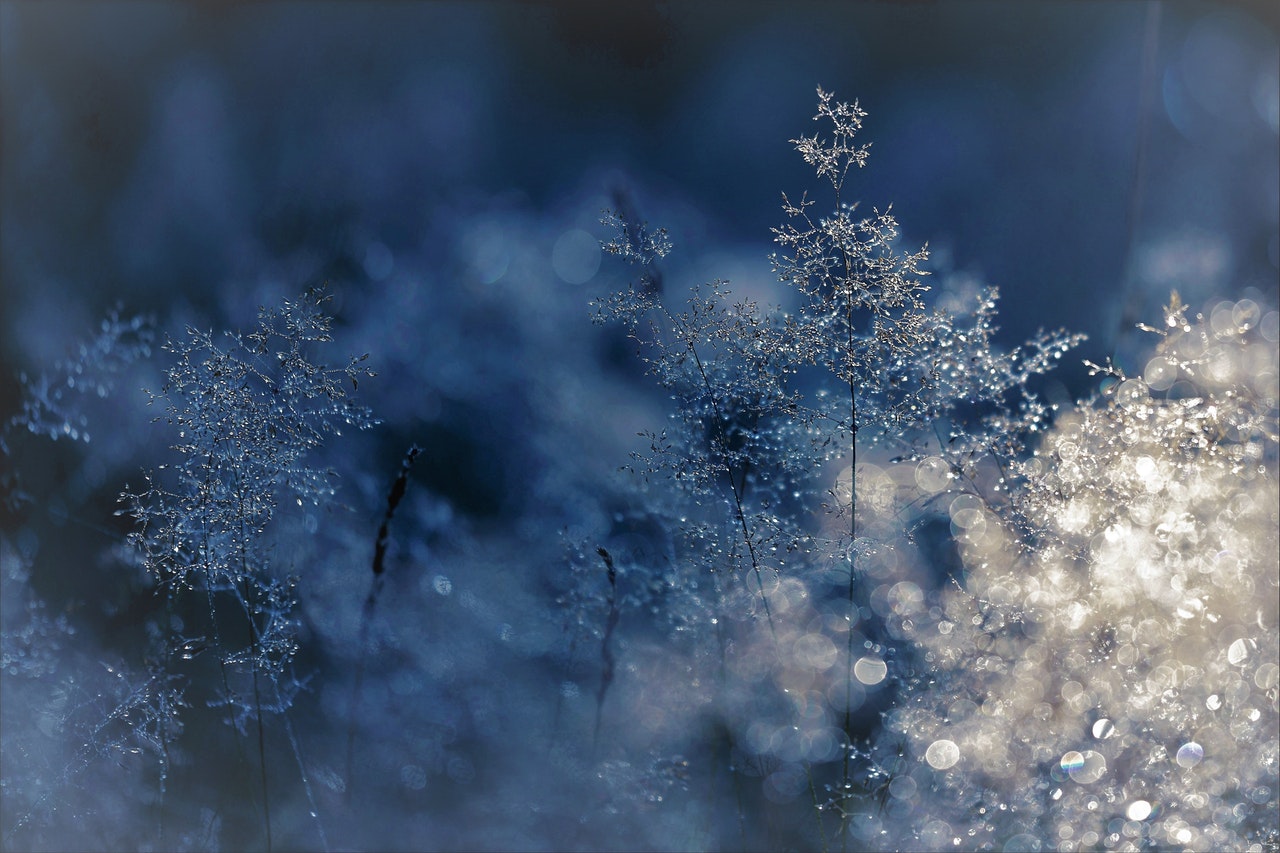 winterwandeling