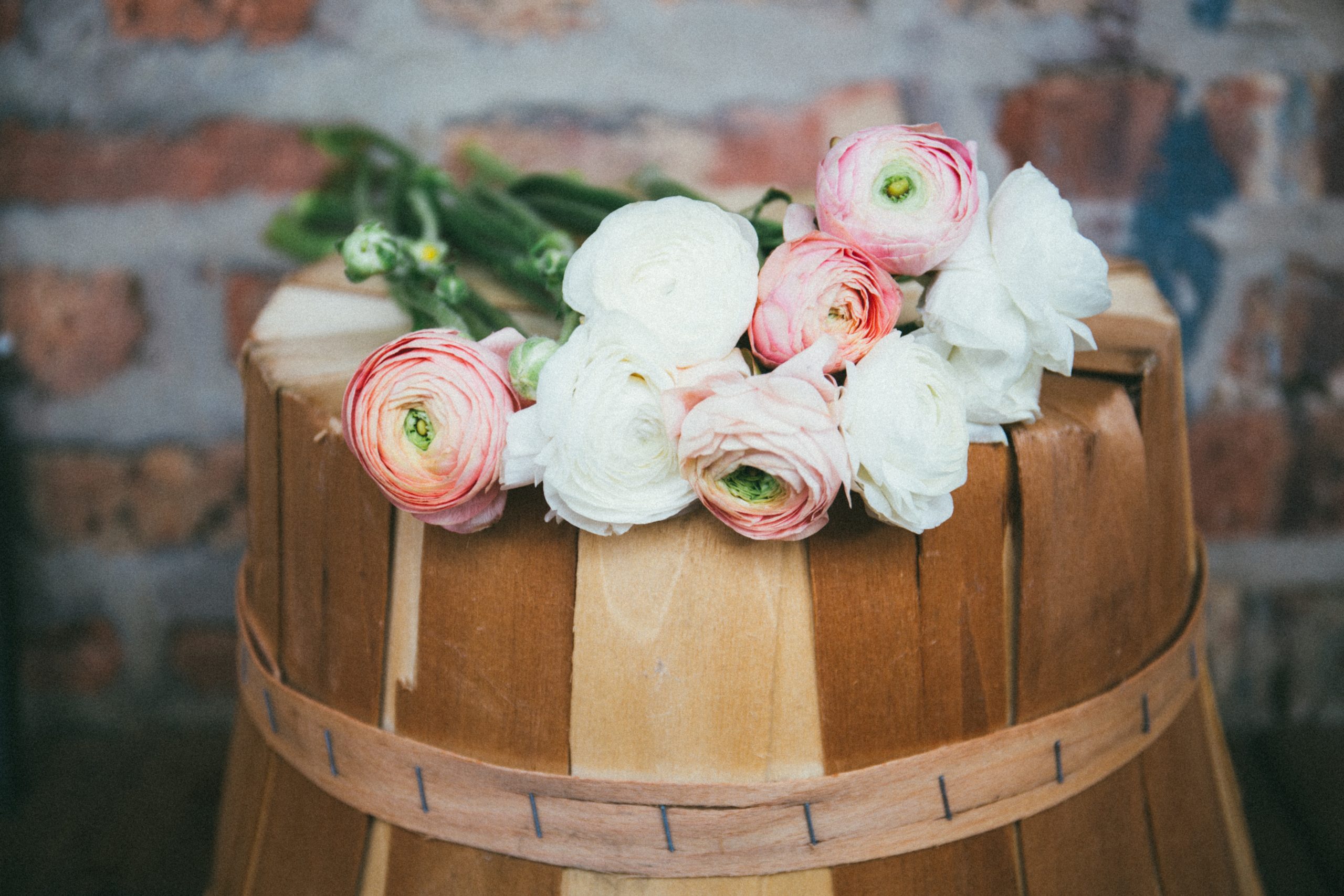 voorjaarsbloemen, lentebloemen