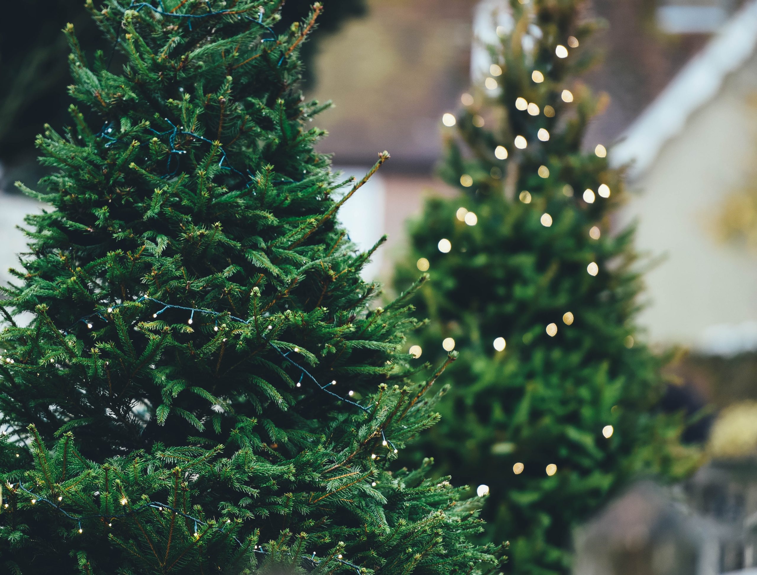 hergebruik kerstboom