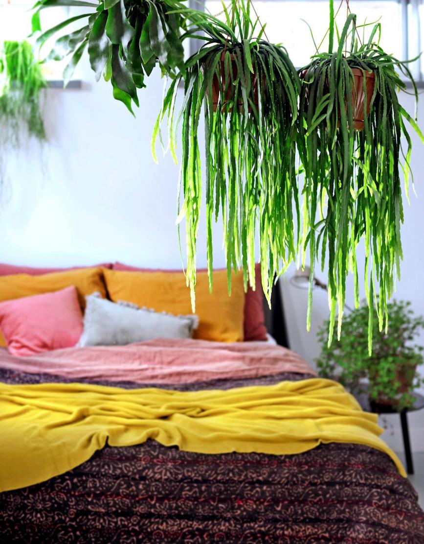 Hangplanten