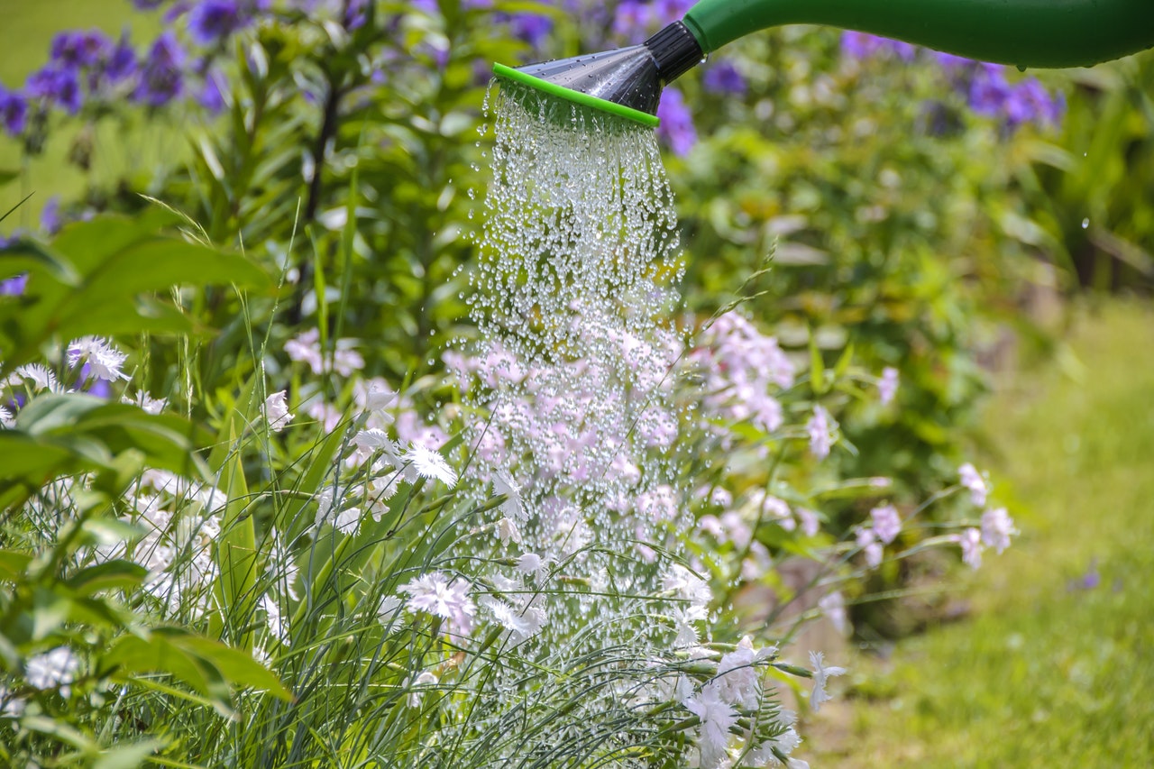 water geven tuin