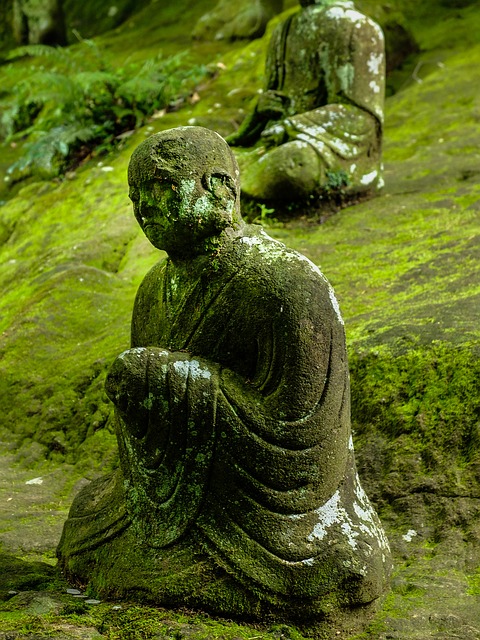 Japanse tuin