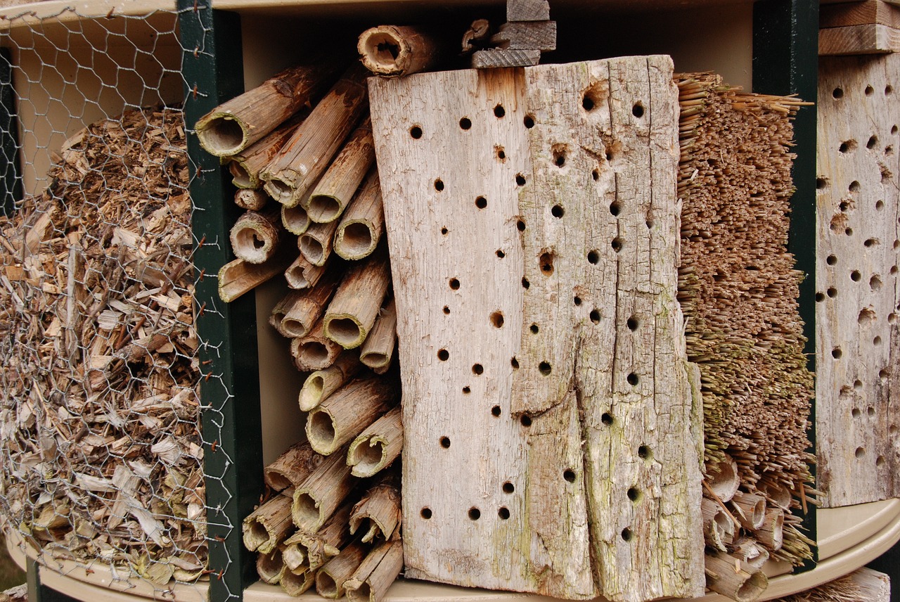 Insectenhotel