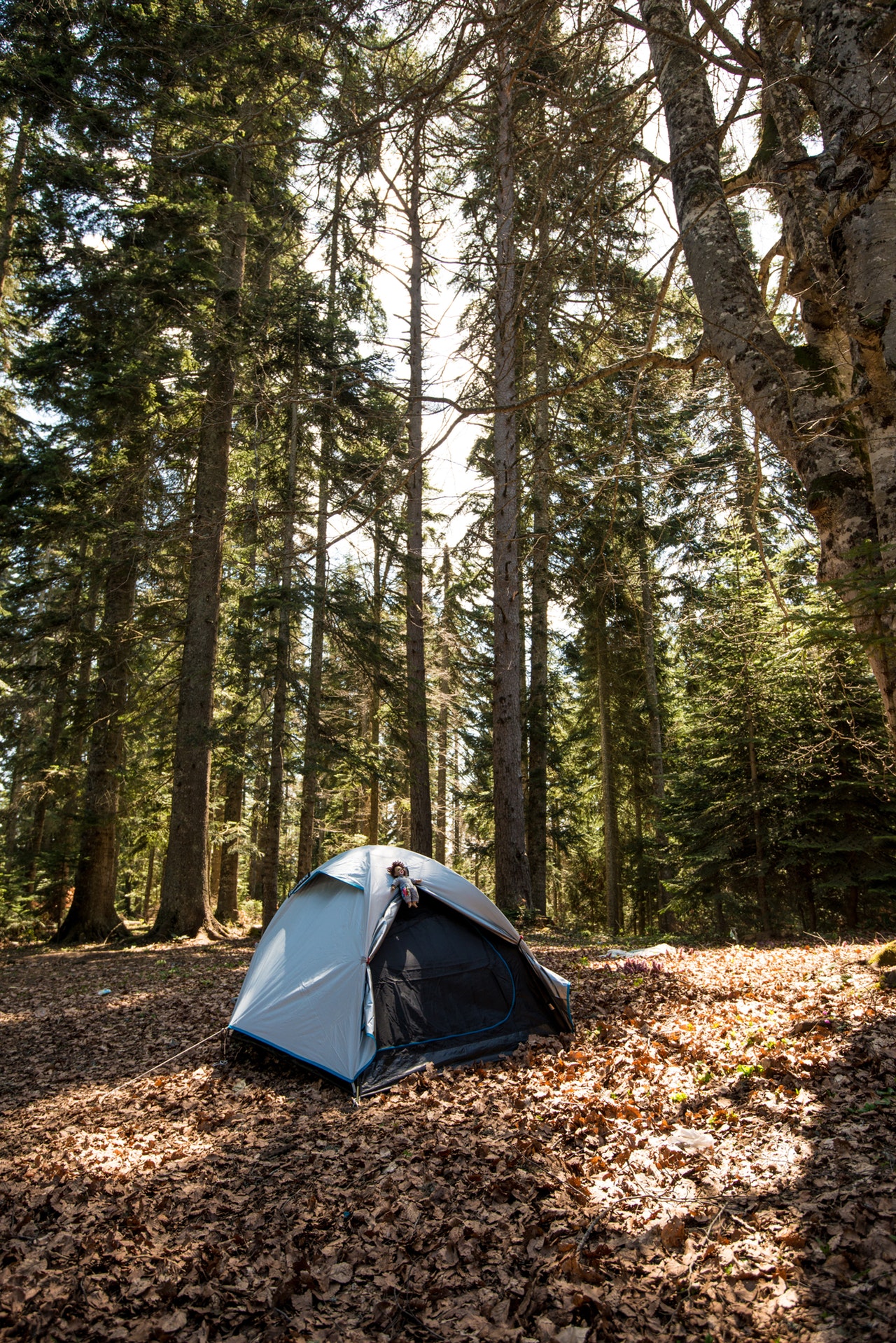 natuurcamping fietsroutes