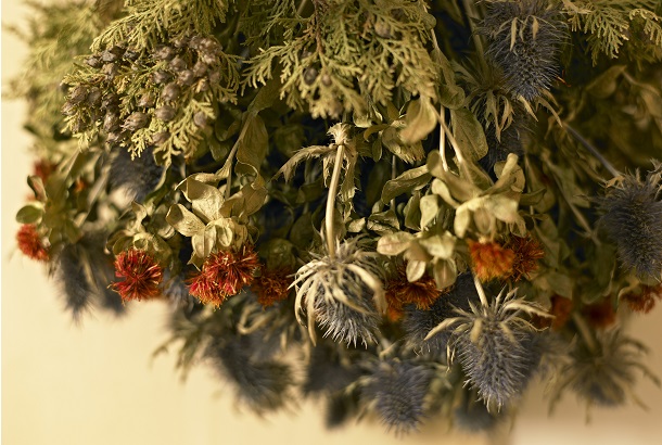 cardo-031-13gen2011v2