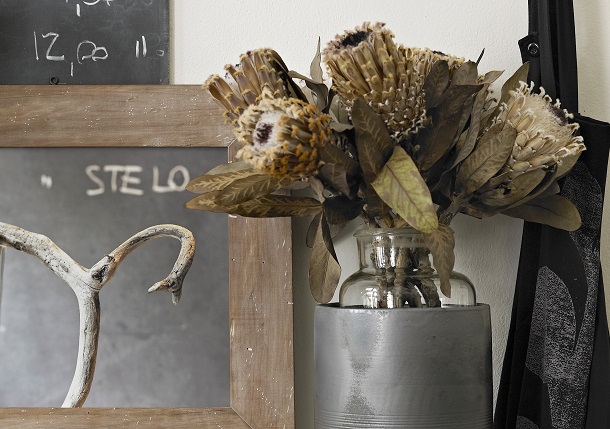 cardo-12_Dic_2011-077v2