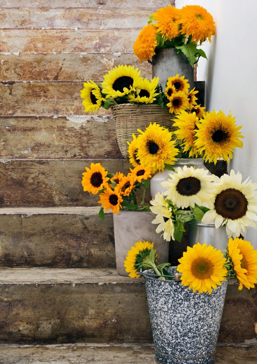 stylen met zonnebloemen