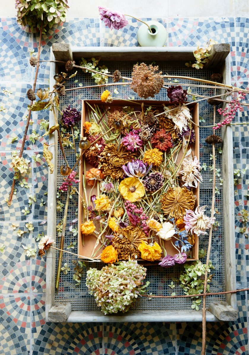 Droogbloemen