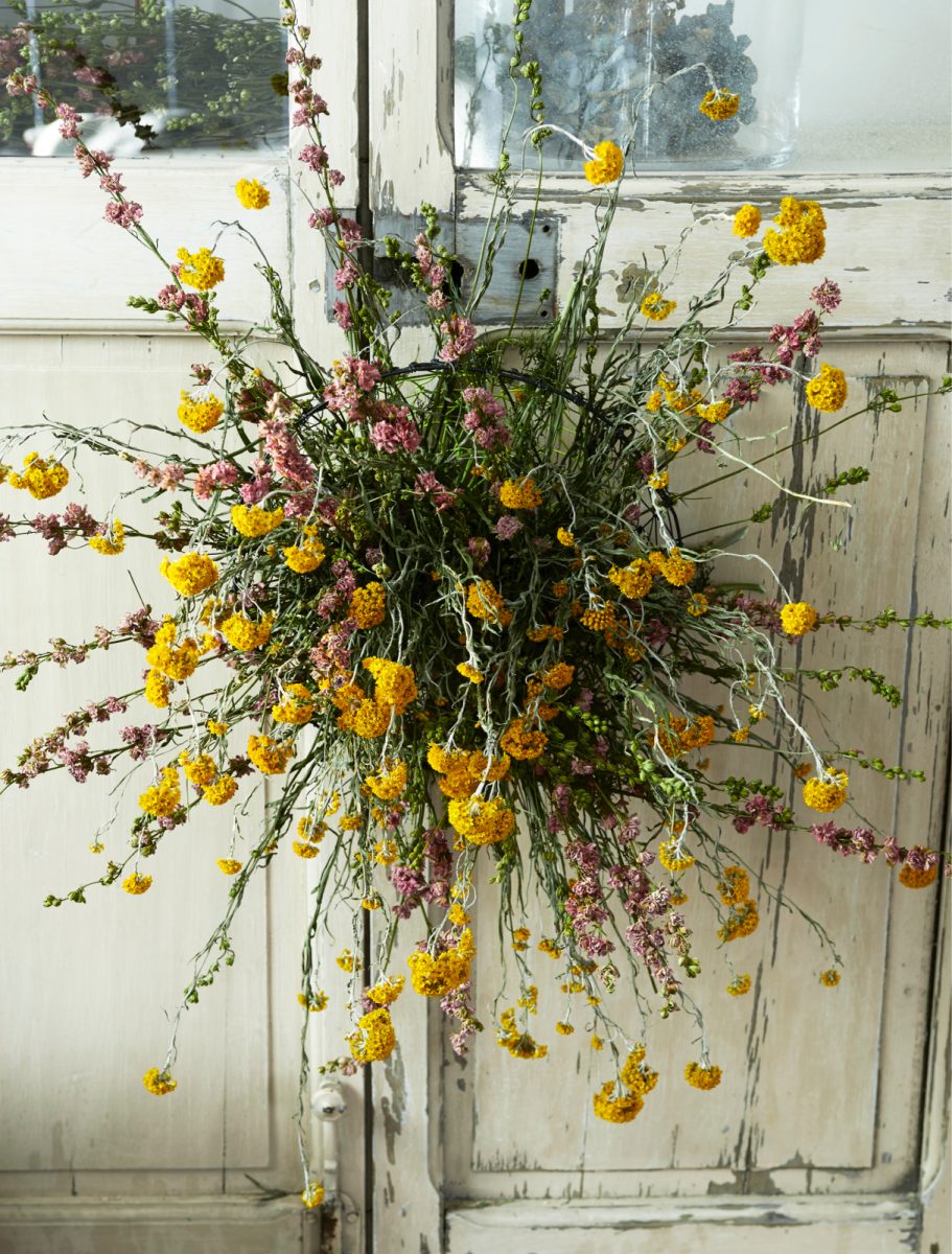 Droogbloemen