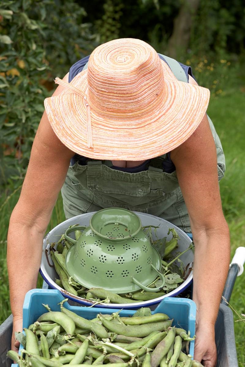 groen shoppen - De Groene Luwte - biologisch moestuinieren - Alma Huisken