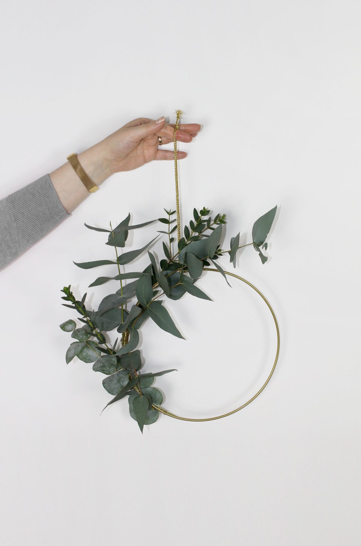 winterharde eucalyptus