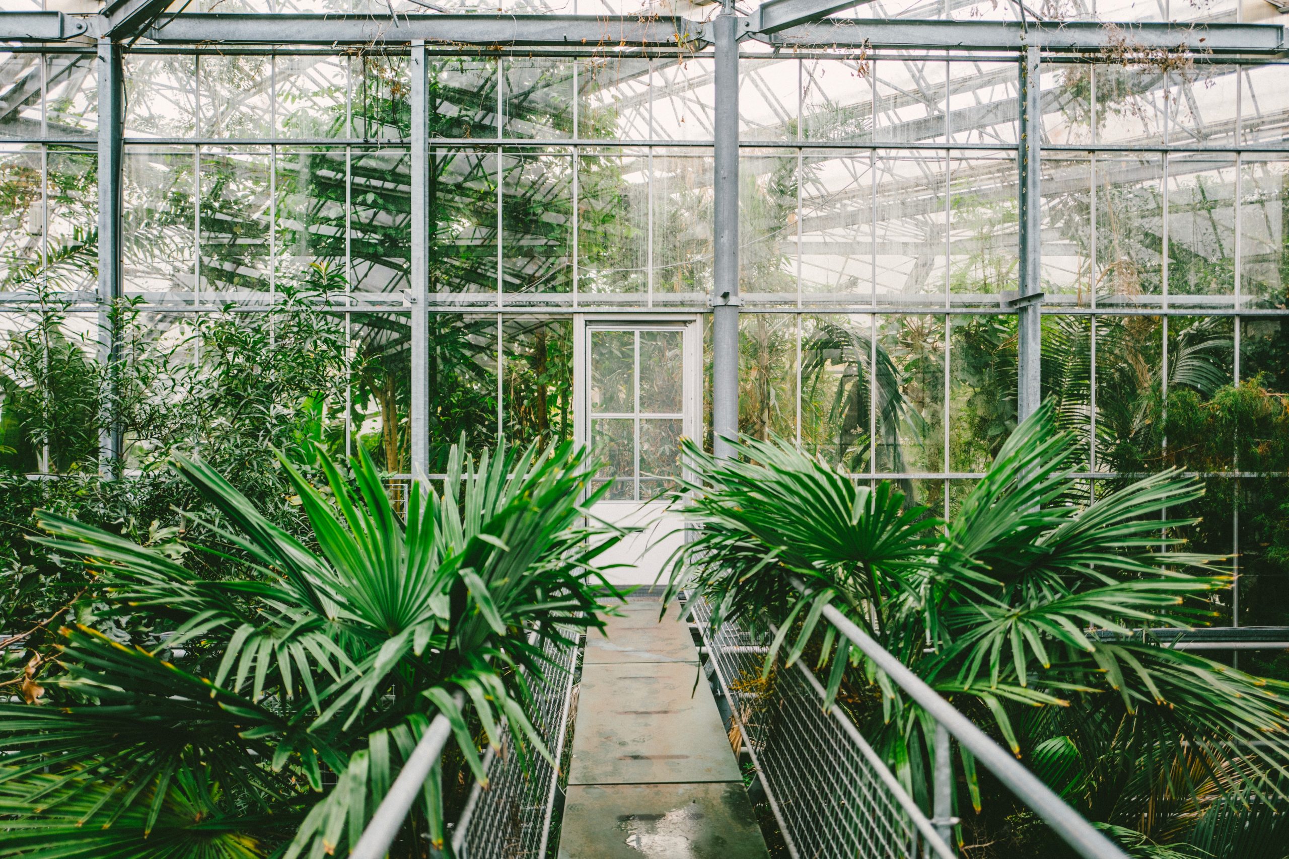Midden in de winter is in de tuin niet veel te beleven. Gelukkig zijn veel botanische tuinen,  het  hele jaar door te bezoeken. Op naar de hortus!
