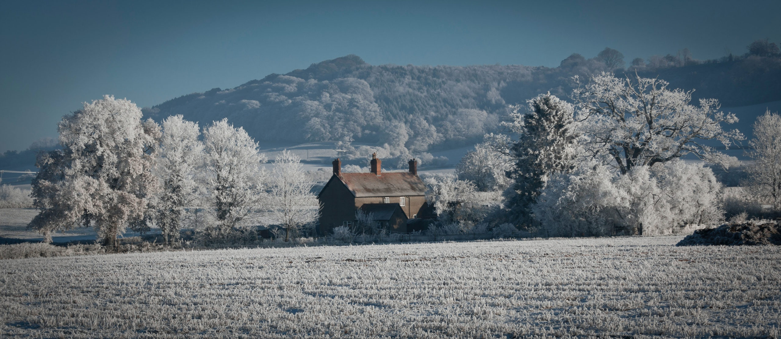 Escape to the country