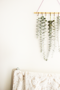 https://nl.pinterest.com/pin/309904018101257860/ eucalyptus hanger