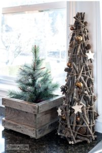 bijzondere kerstbomen