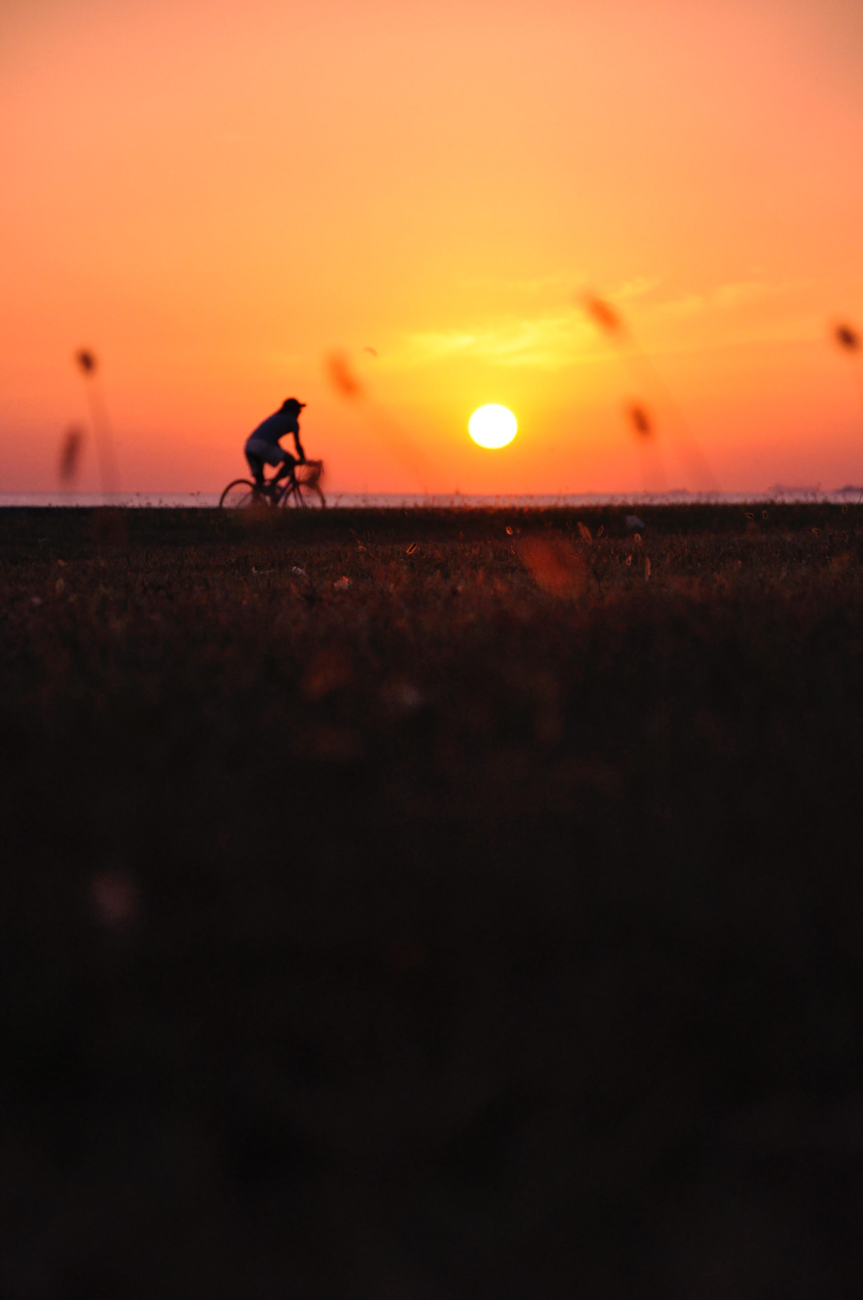 Zin om een unieke fietsroute door Nederland te rijden? Dat kan met het boek ‘Fietsen van Walcheren naar de Waddenzee’ van Marica van der Meer.