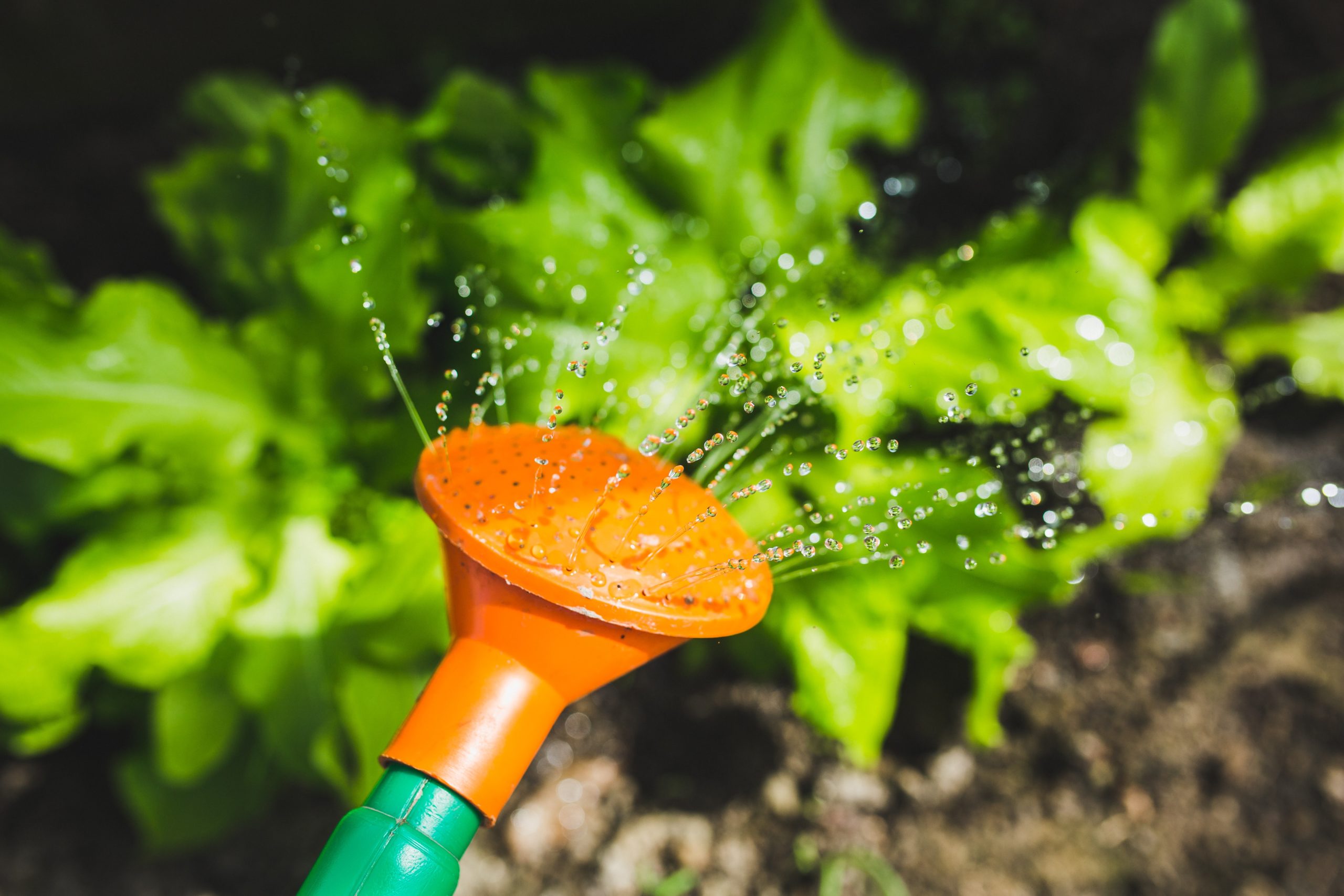 Watermanagement
