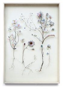 gedroogde bloemen