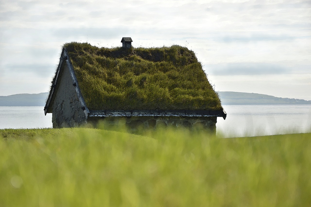 groen dak