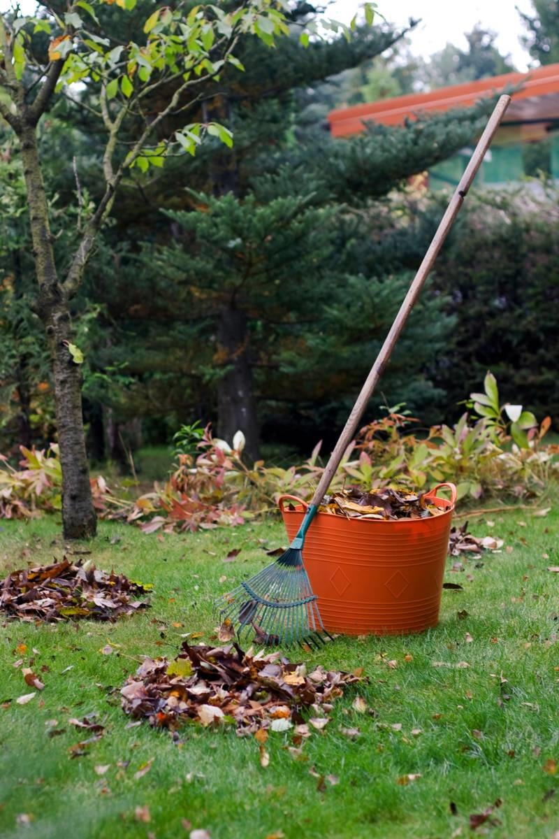 herfstbladeren harken