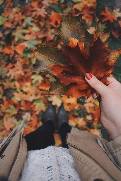 herfstbladeren