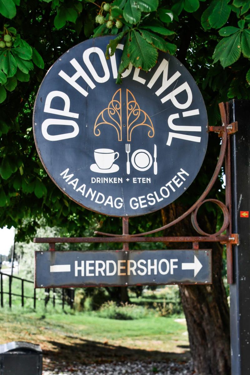 hodenpijl