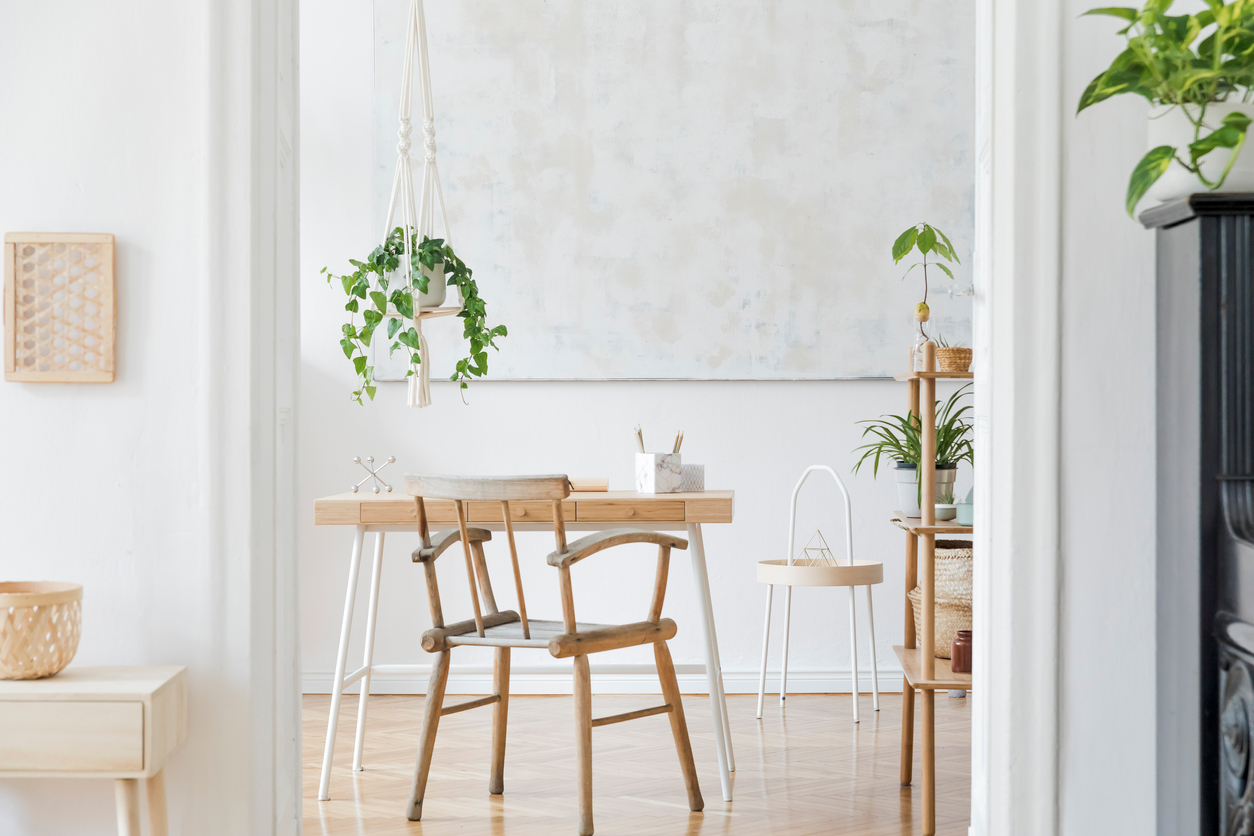 leuke hangplanten