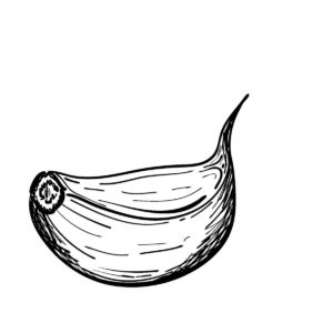 knoflookteen