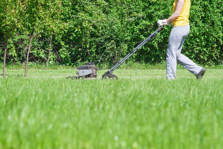 gras maaien - elektrische grasmaaier