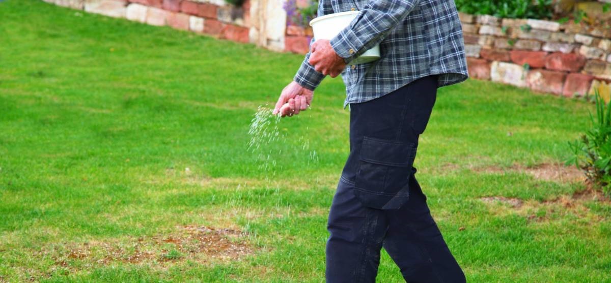 gras oppeppen - tuinklusjes voor april - kale plekken - gazon - groen gras