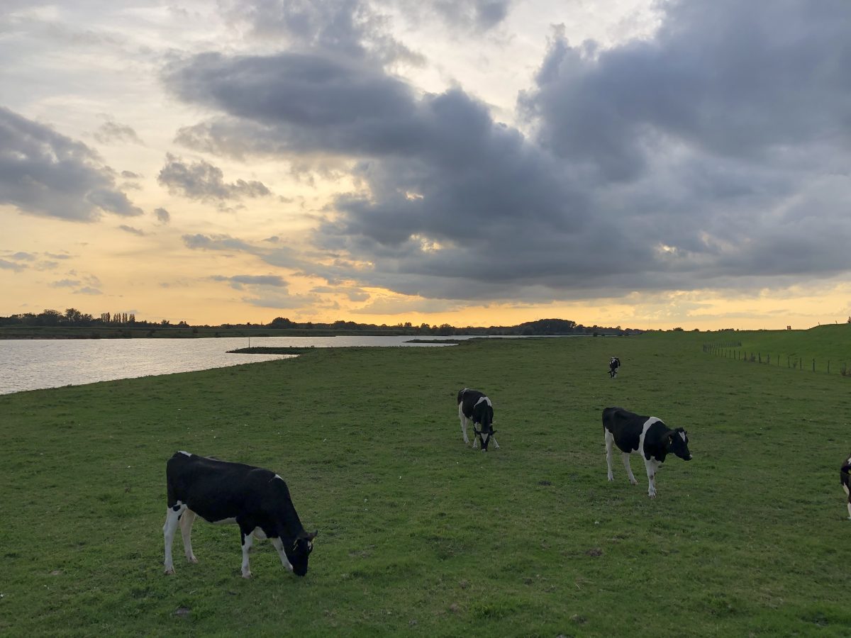 verhuizen platteland